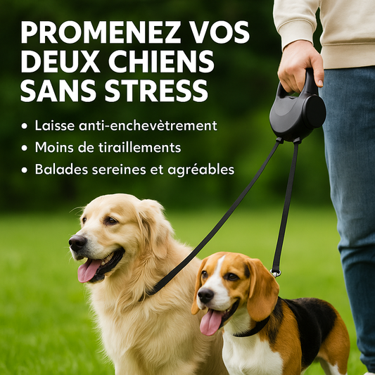 Laisse duo anti-enchevêtrement